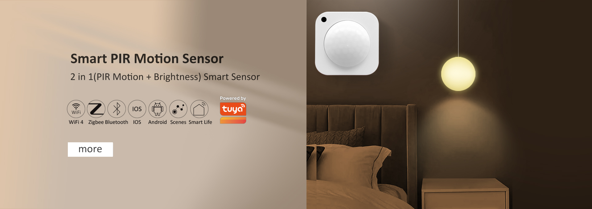 PIR Motion Sensor(